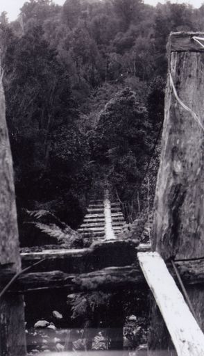 Burtton's swing bridge, Kahuterawa