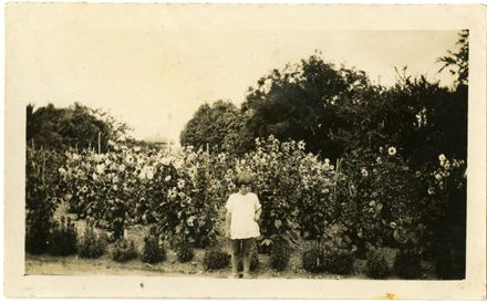 Andrews Collection: Joyce, Aged 4