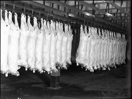 Mutton carcasses, Longburn Freezing Works