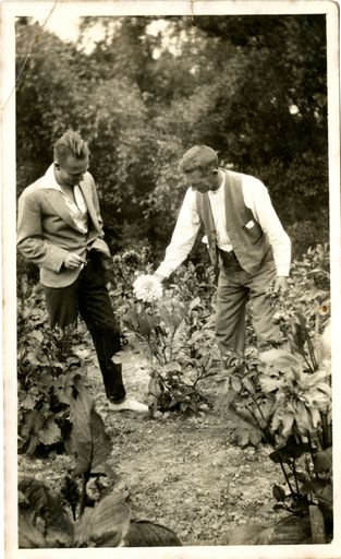 Arthur Shailer Inspecting Dahlia