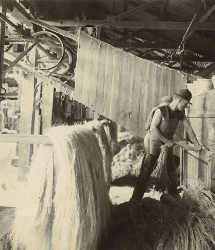 Scutching the fibre, Miranui Flaxmill, near Shannon