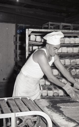 "The Manufacture of Bread - an Essential Food"