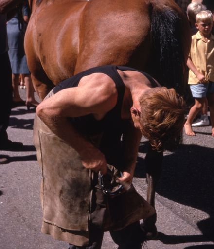 Palmerston North Centenary Parade: Horse and Farrier