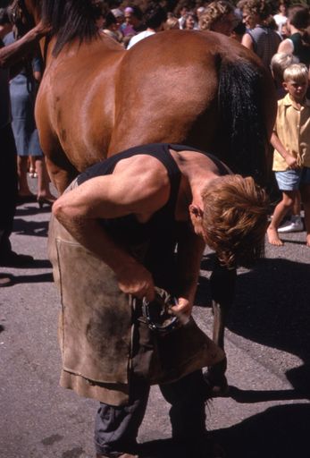 Palmerston North Centenary Parade: Horse and Farrier