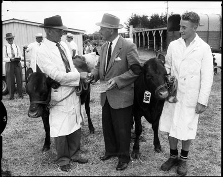 "Special Shorthorn prize" Horowhenua Show - Resource cover image