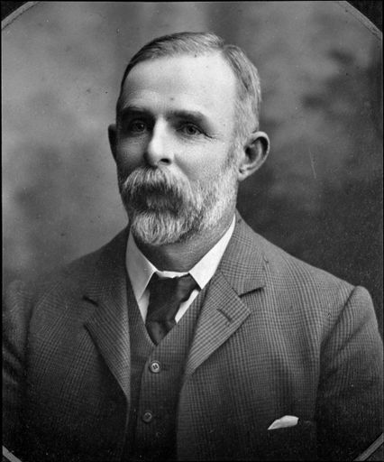 William Lewis Luxford, Borough Councillor