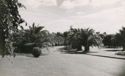 Phoenix Palms, Victoria Esplanade