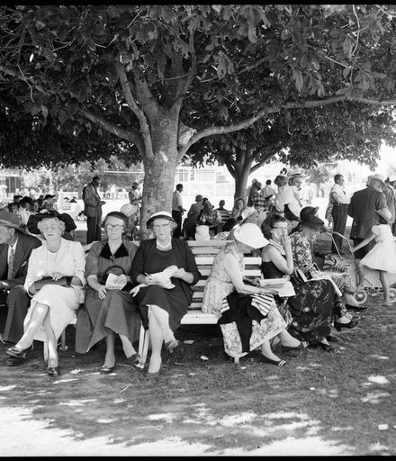 "All Seats in The Shade in Demand" [Awapuni Races]