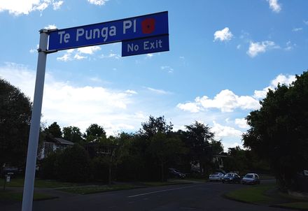 Te Punga Place street sign with poppy