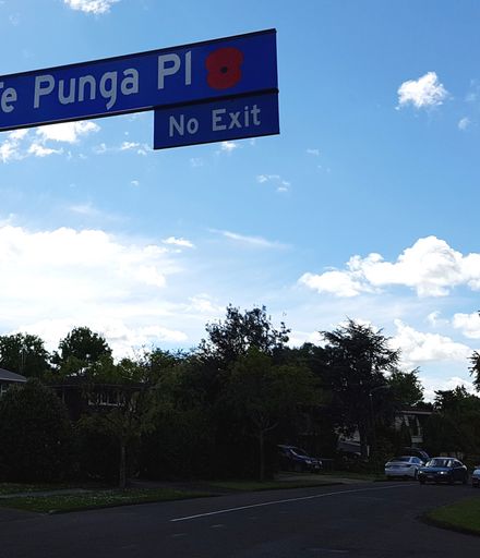 Te Punga Place street sign with poppy