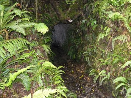 Mine entrance, Hardings Park