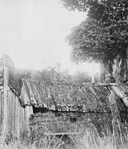 Derelict pioneer home, Bunnythorpe
