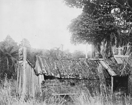 Derelict pioneer home, Bunnythorpe