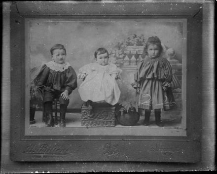 Possibly Edwin, Francis and Rimu Berry - Resource cover image