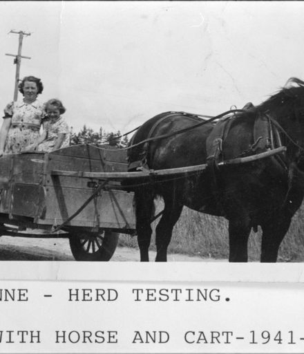Annie Wilton in herd testing horse and cart