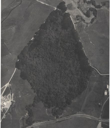 Aerial Map, 1986 - 1-19