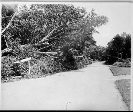 Victoria Drive at Esplanade after Storm