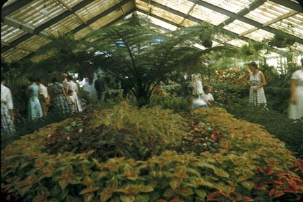 Peter Black Conservatory, Victoria Esplanade
