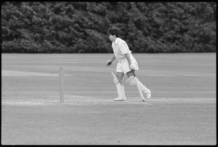 Hallyburton Johnstone Shield – Wellington v Auckland - Resource cover image