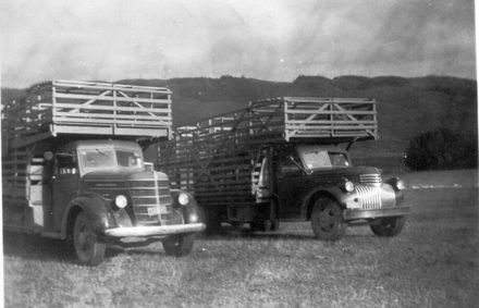 International Truck & Chevrolet Truck