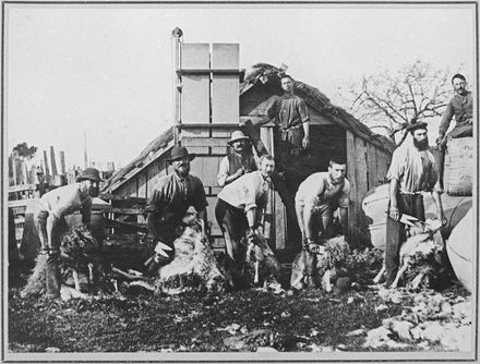 Shearers on Puketotara Estate, near Rangiotu