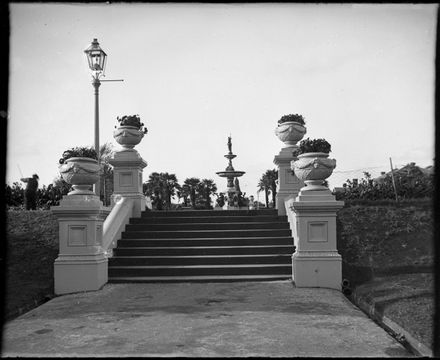 Steps in Albert Park, Auckland - Resource cover image