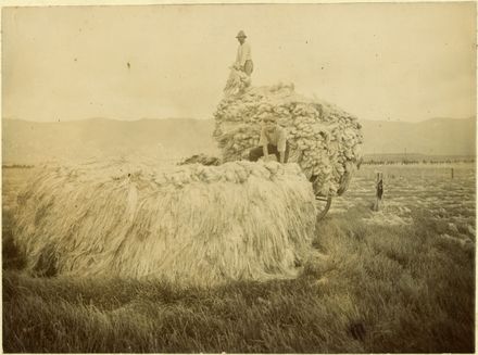 Stacking flax at Miranui Flaxmill, near Shannon