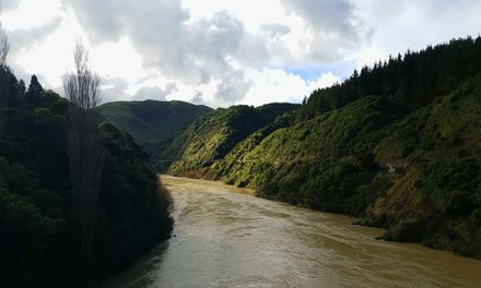 Manawatu River from the Upper Manawatu Gorge Bridge