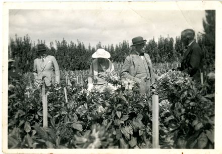 Lord and Lady Bledisloe in Shailer's dahlia patch
