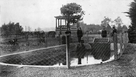 Fish Hatchery Pond, Victoria Esplanade
