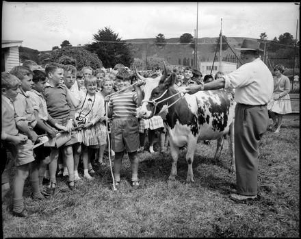 "City Children's interest in a Cow"