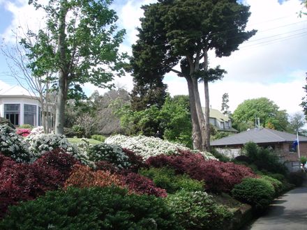 "Waimarama", 46 Alfred Street