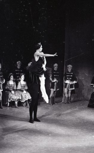 "Swan Lake" Ballet - Resource cover image