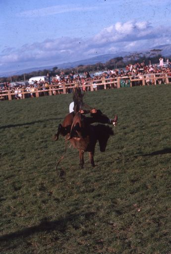 Linton Rodeo