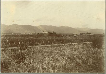 Miranui Flaxmill, Shannon - Resource cover image