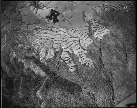 Argosy Aerial - "City Council forest area Pahiatua track"