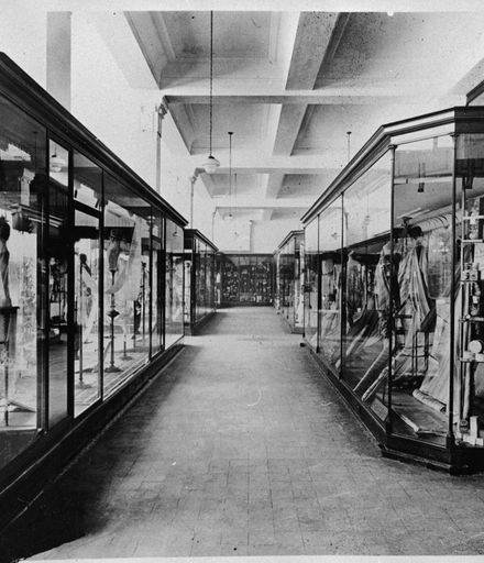Display Windows of C M Ross department store, The Square