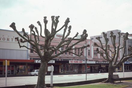 Buildings on the North Side of the Square, Palmerston North