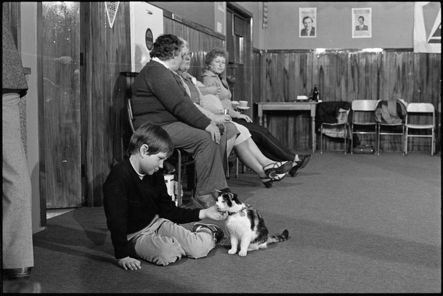 2025N_2017-20_Beetham_043076_013