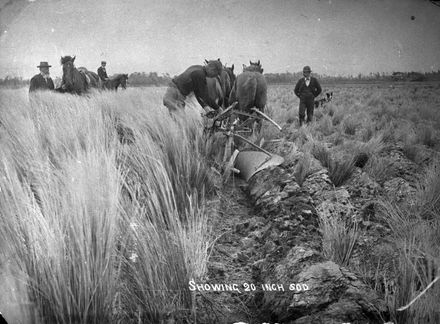 Ploughing swamp land