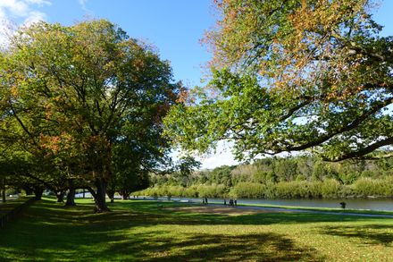 On the river path near Fitzherbert Bridge - Resource cover image