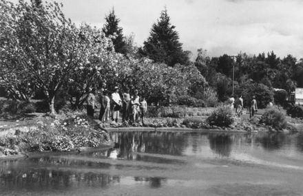 Lily pond, Victoria Esplanade