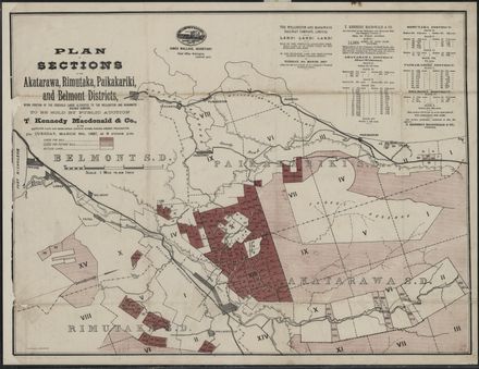 Plan of sections in the Akatarawa, Ruimutuka, Paikakariki and Belmont Districts