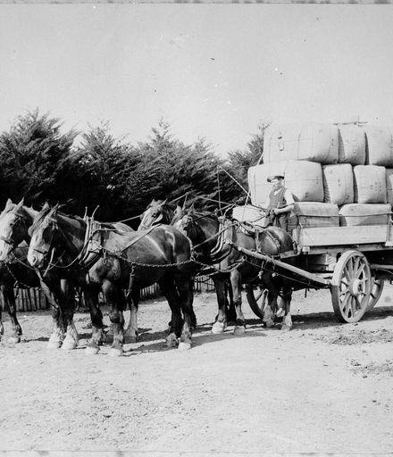 Wagonload of Wool Bales, Waituna West