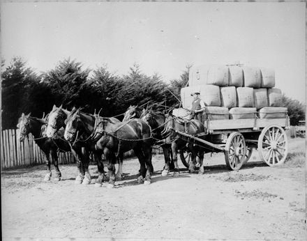 Wagonload of Wool Bales, Waituna West