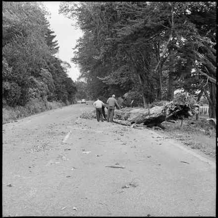 Aftermath of Yesterday's Gale