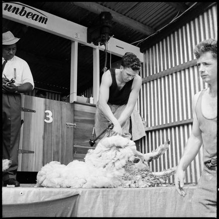 Skilful Shearing