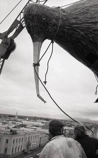 "Kiwi Sign hoisted to the top of PDC" - Resource cover image