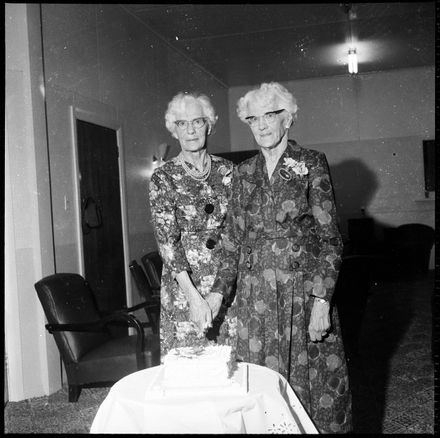 "Twins Celebrate Birthday" - Resource cover image