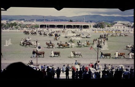 A&P Show, Palmerston North